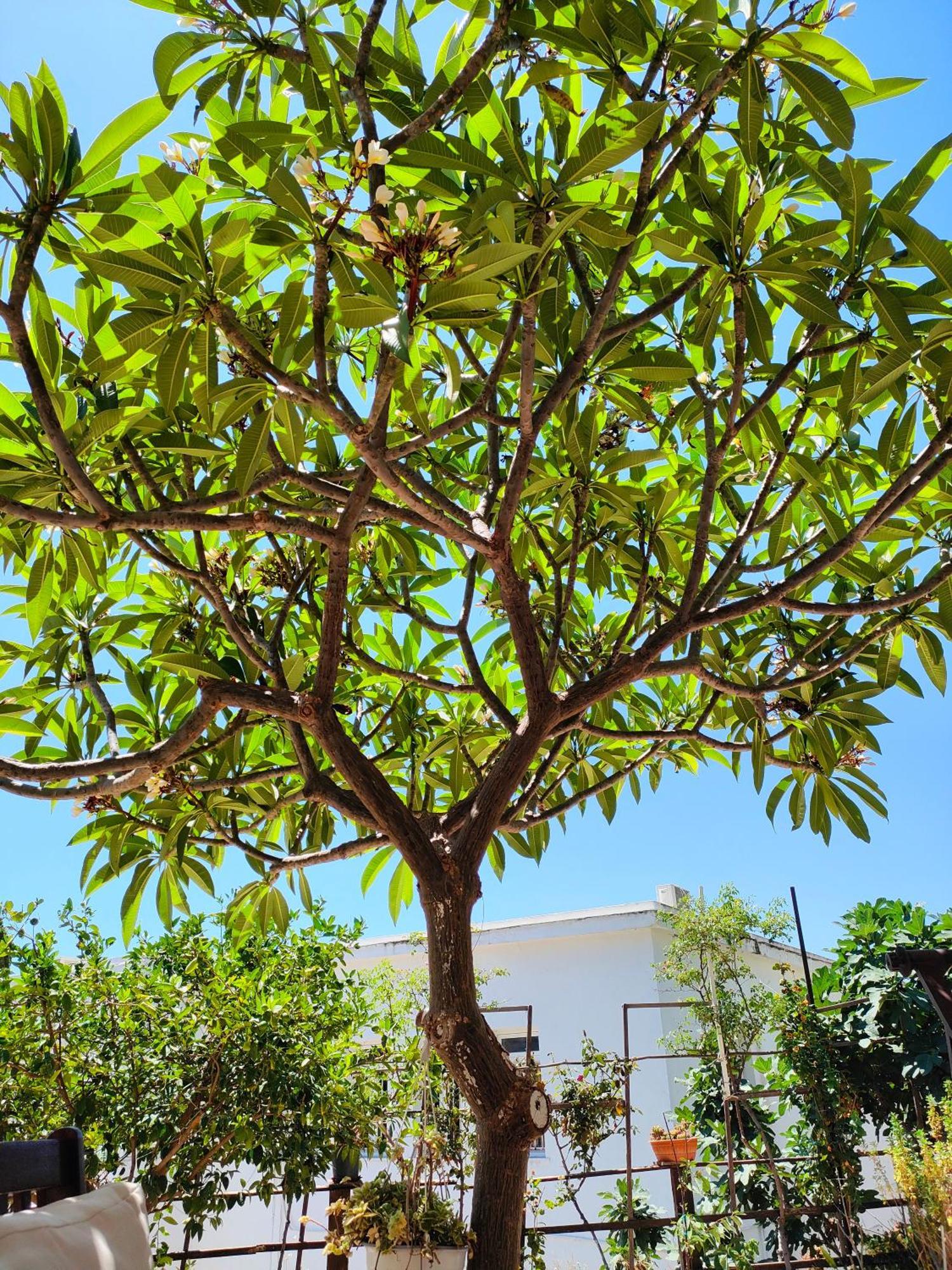 Sky-Line Apartments Afantou Luaran gambar