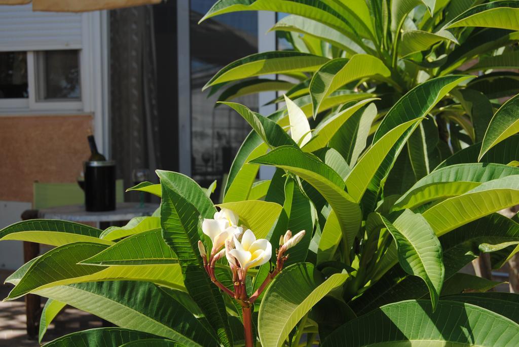 Sky-Line Apartments Afantou Luaran gambar